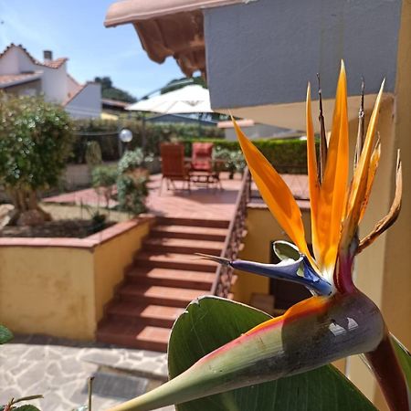 Marina di Sorso La Casa Al Sole 빌라 외부 사진