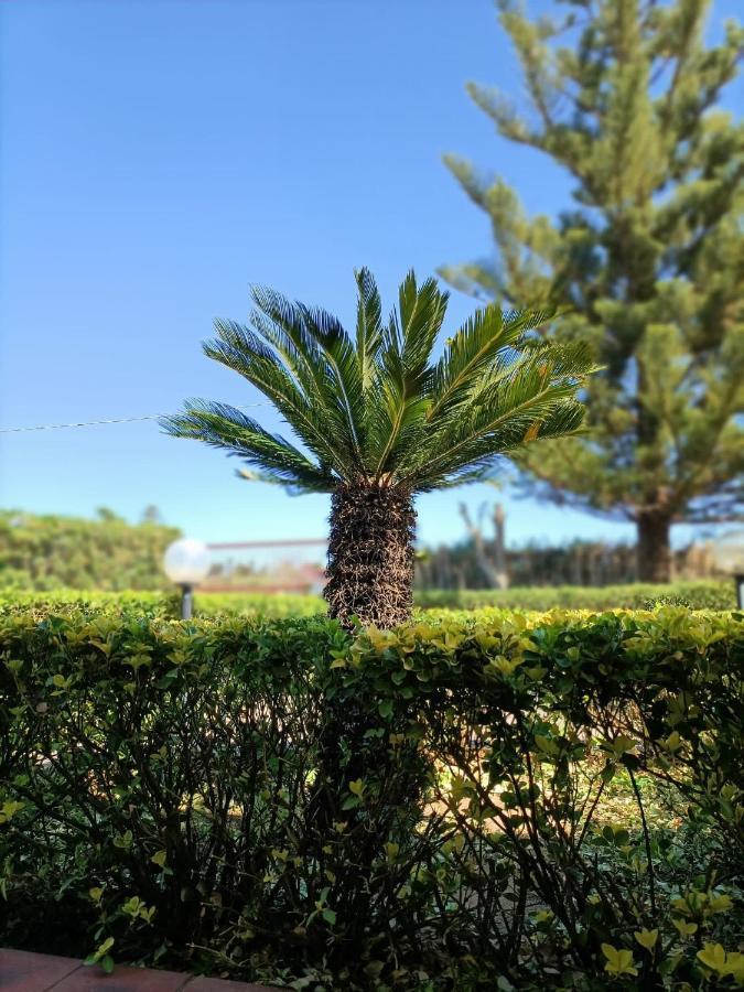 Marina di Sorso La Casa Al Sole 빌라 외부 사진