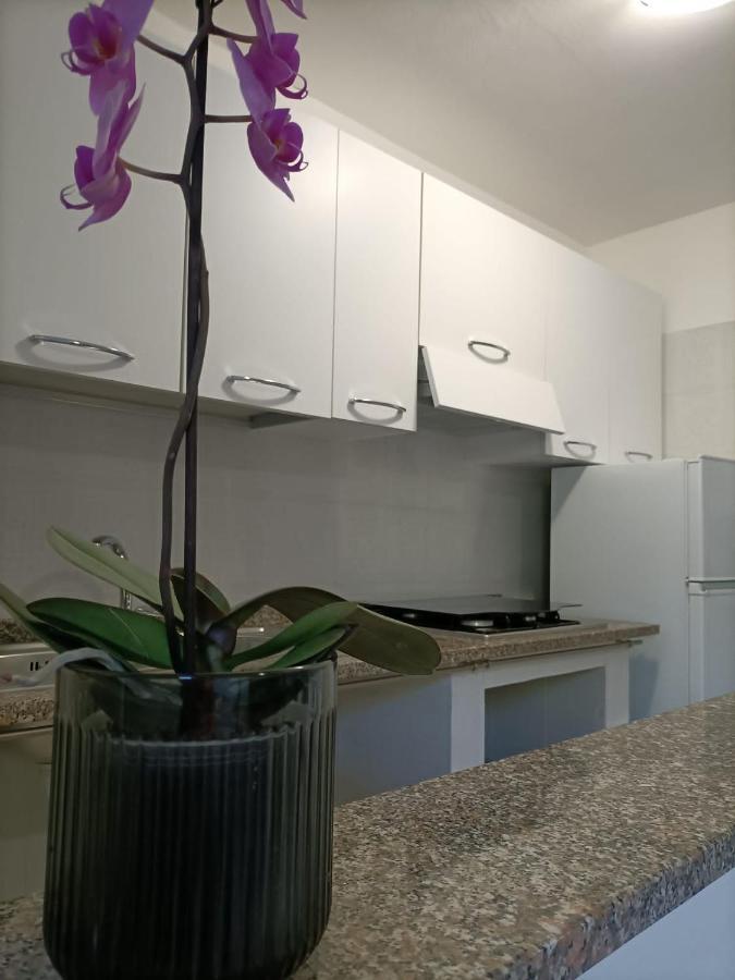 Marina di Sorso La Casa Al Sole 빌라 외부 사진